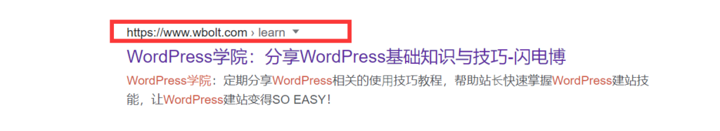 wpservice.cn-技术搜索引擎优化权威指南-12